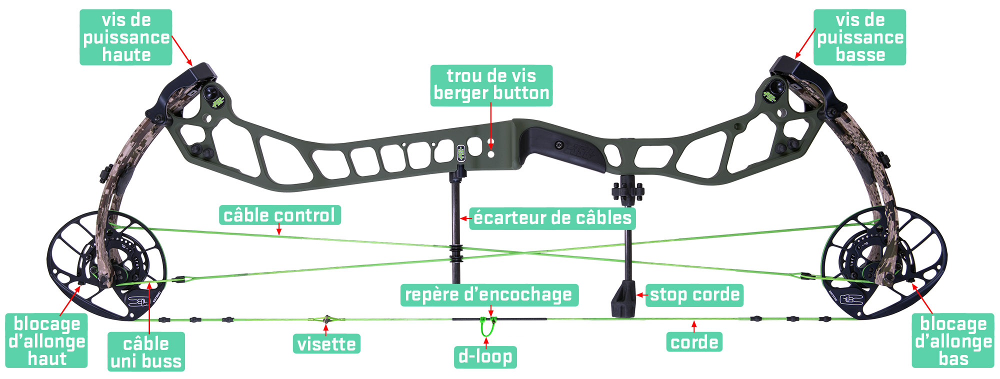 Les réglages basiques de l'arc classique, à poulies